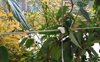 Wire Rope Cross Clamp Example - 90 Degree